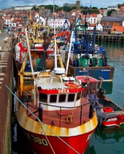 UK_fisheriesadaptation